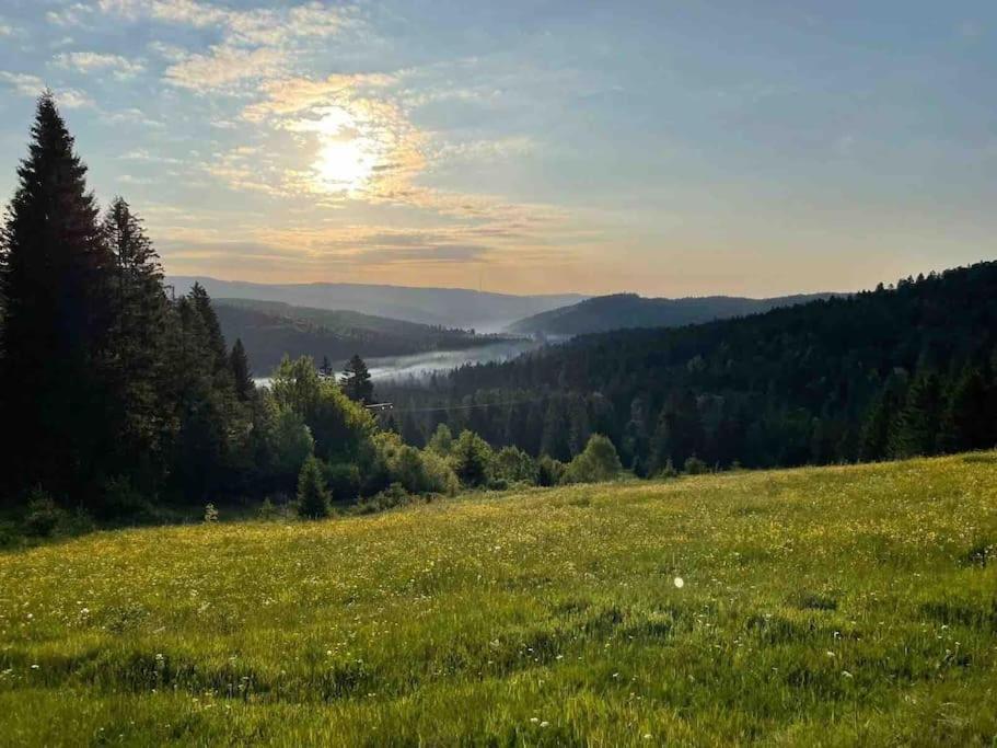 Helle Gemuetliche Ferienwohnung In Schwarzwaldhof Ibach Exterior foto