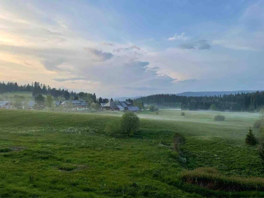 Helle Gemuetliche Ferienwohnung In Schwarzwaldhof Ibach Exterior foto
