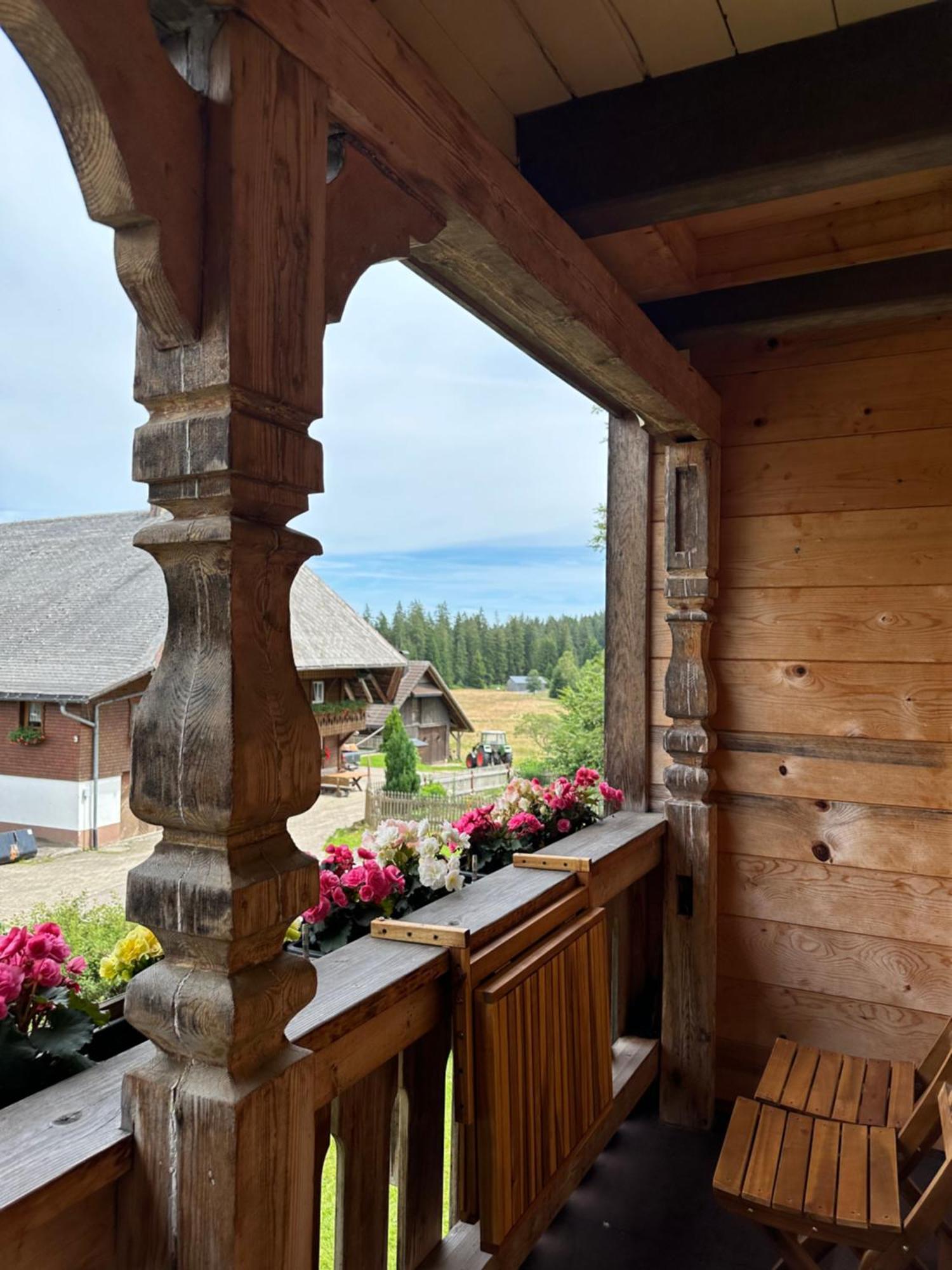 Helle Gemuetliche Ferienwohnung In Schwarzwaldhof Ibach Exterior foto