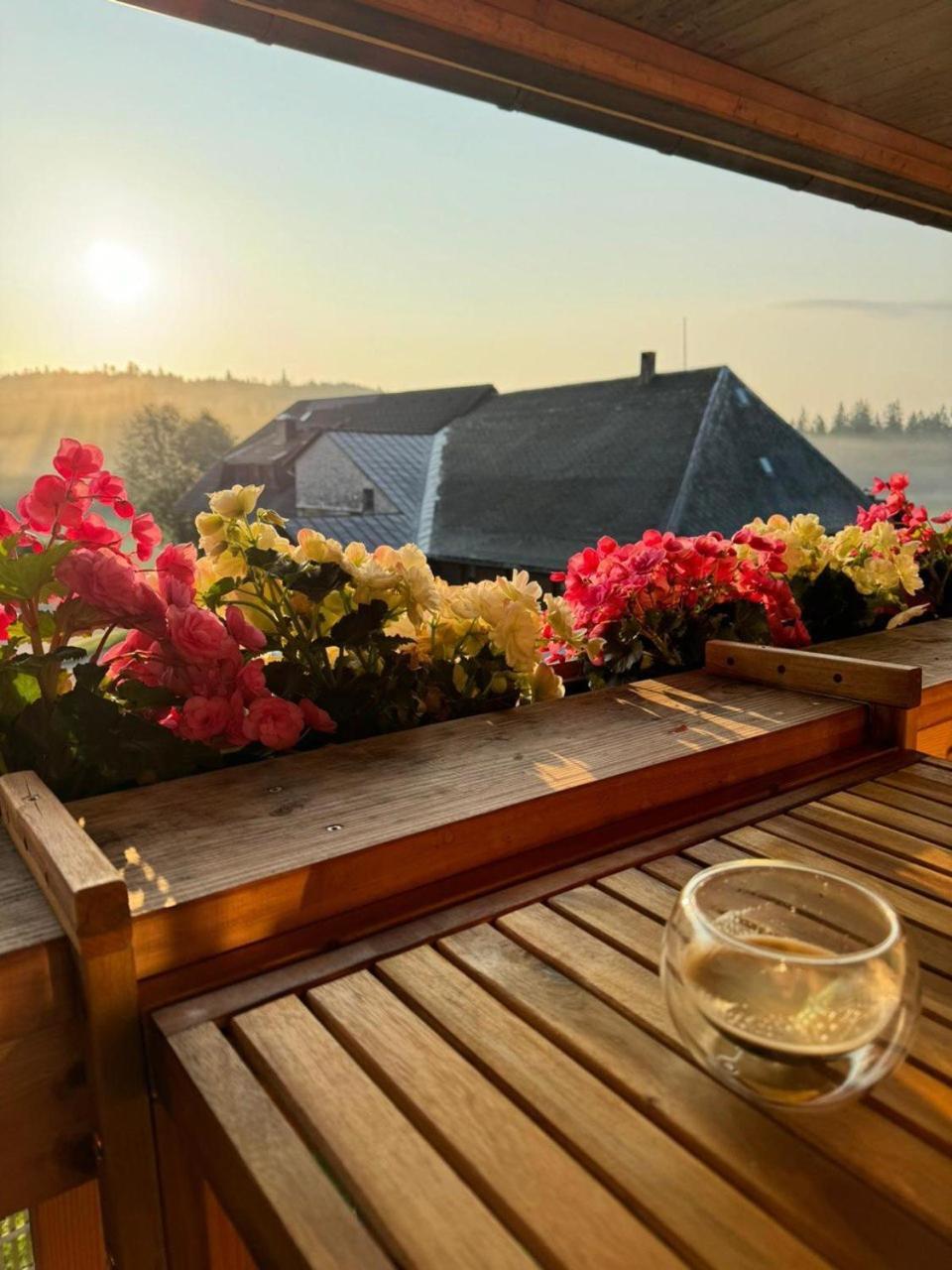Helle Gemuetliche Ferienwohnung In Schwarzwaldhof Ibach Exterior foto