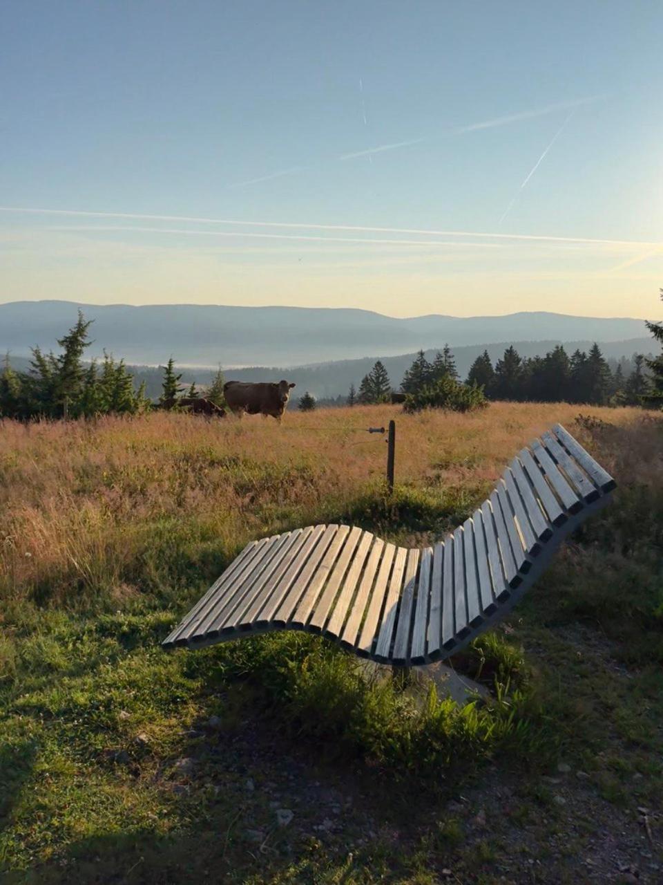 Helle Gemuetliche Ferienwohnung In Schwarzwaldhof Ibach Exterior foto